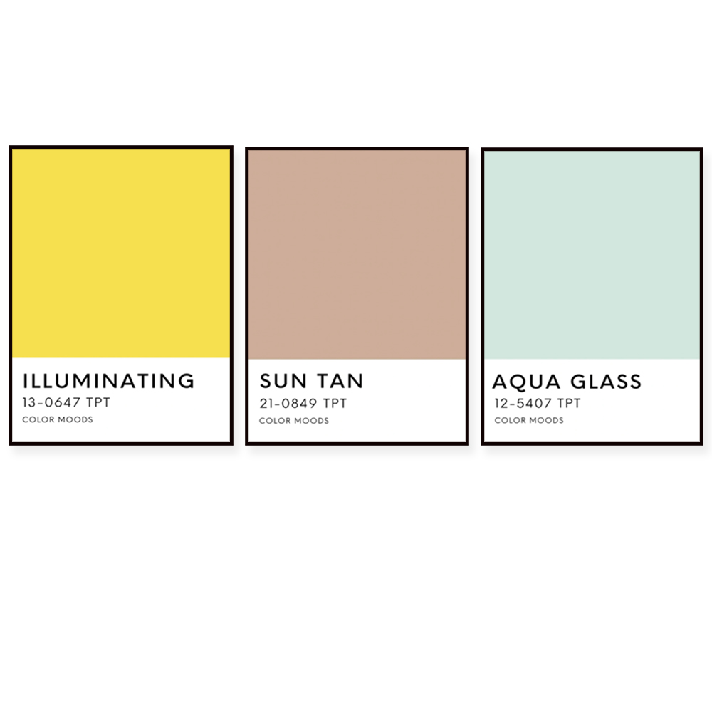Home Decor Color Palettes - Paleta kolorów stanu Sunshine State, druk,